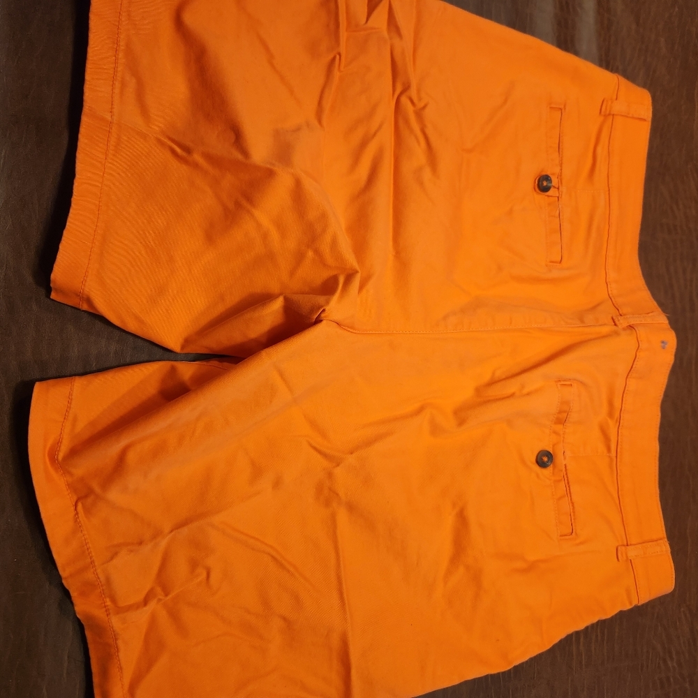 Shorts - Picture 2 of 2